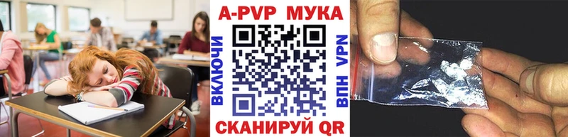 блэк спрут ссылка  Арзамас  Альфа ПВП VHQ 