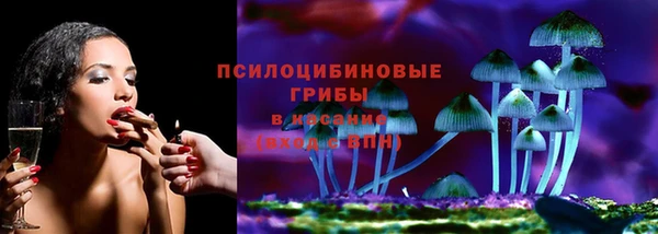 мяу мяу мука Касимов