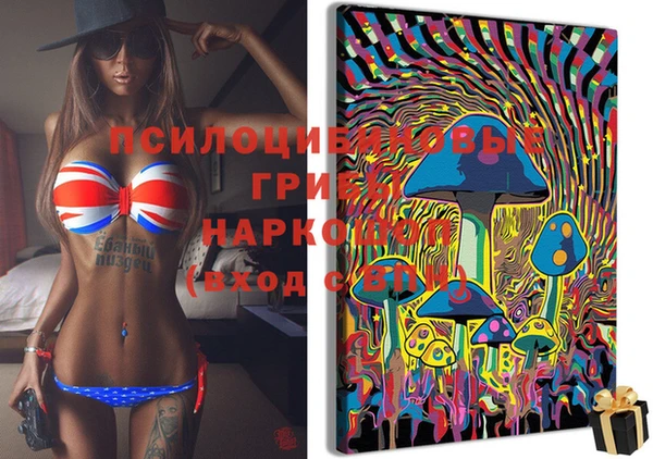 ПСИЛОЦИБИНОВЫЕ ГРИБЫ Кинешма