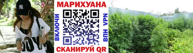 Каннабис индика  купить наркотик  Арзамас 
